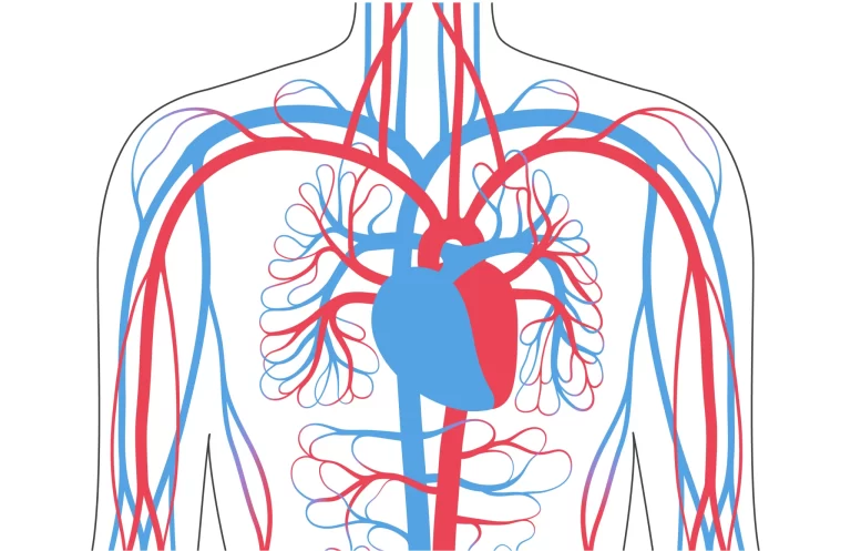 Meditacije za iscjeljivanje srčanih i krvožilnih problema (srce, vene, tlak itd)
